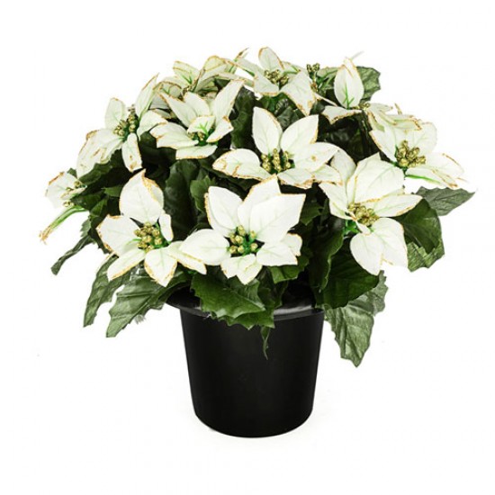 Whtie Poinsettia Cemetery Flower Pot, Cemetery Flowers Weighted Pot, Christmas Cemetery shops Potted Arrangement